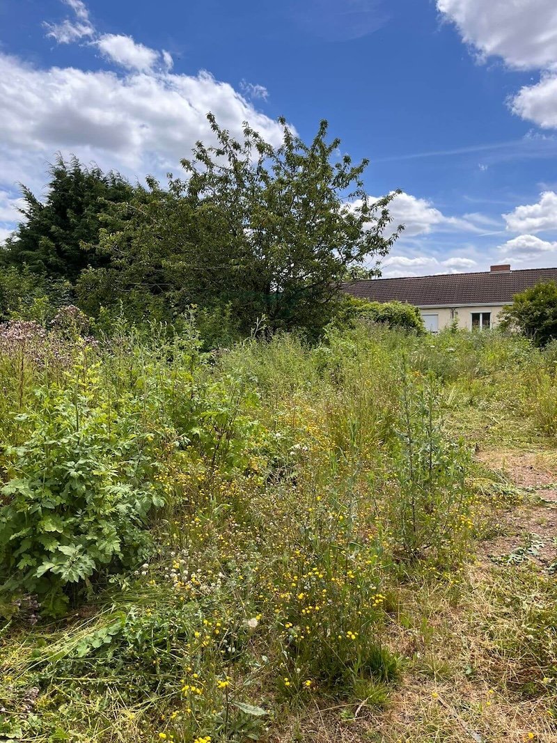 Jardin avant travaux Matext