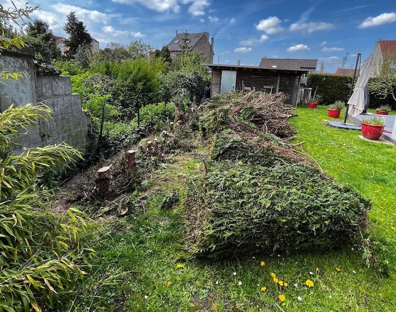 Travaux d'élagage par Matext